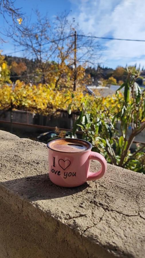 Tbilisi Guesthouse Nini Luaran gambar